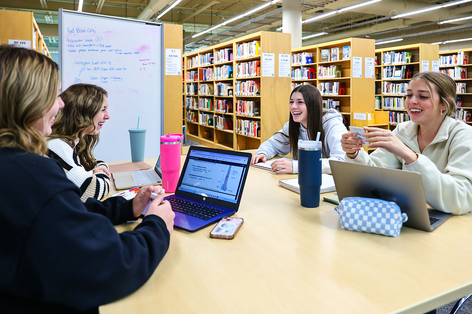 red deer polytechnic commercial photographer sergei belski photo