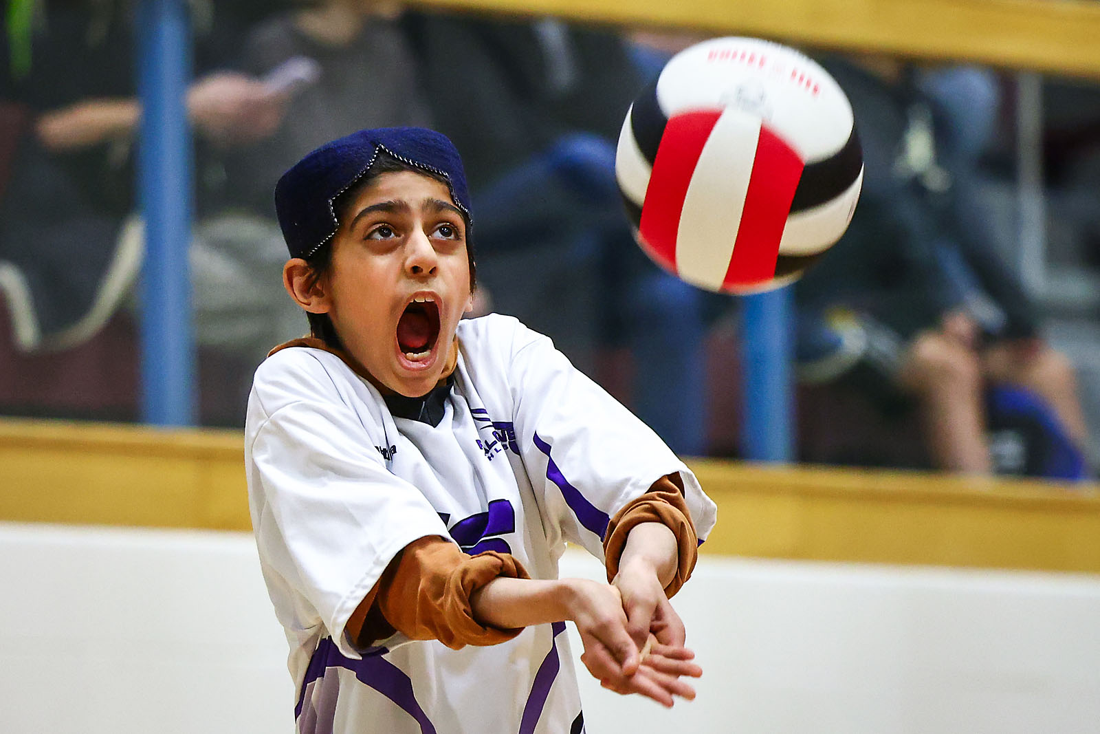 volleyball airdrie sports photographer sergei belski photo