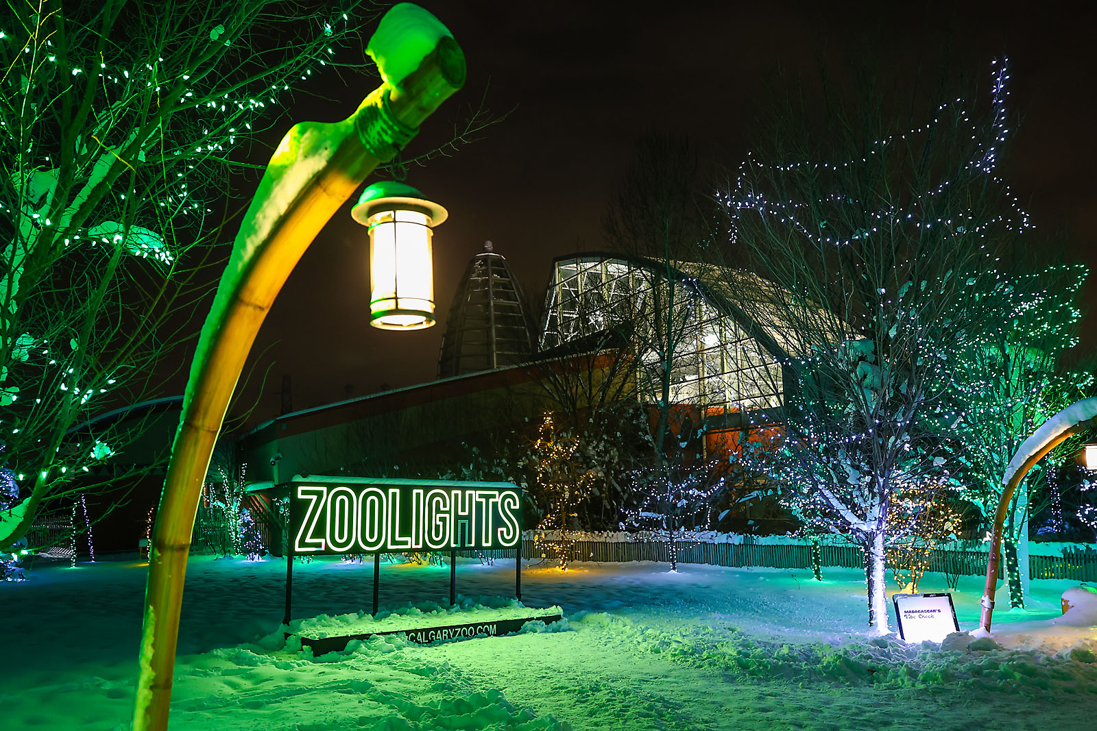 calgary zoolights event photographer sergei belski photo