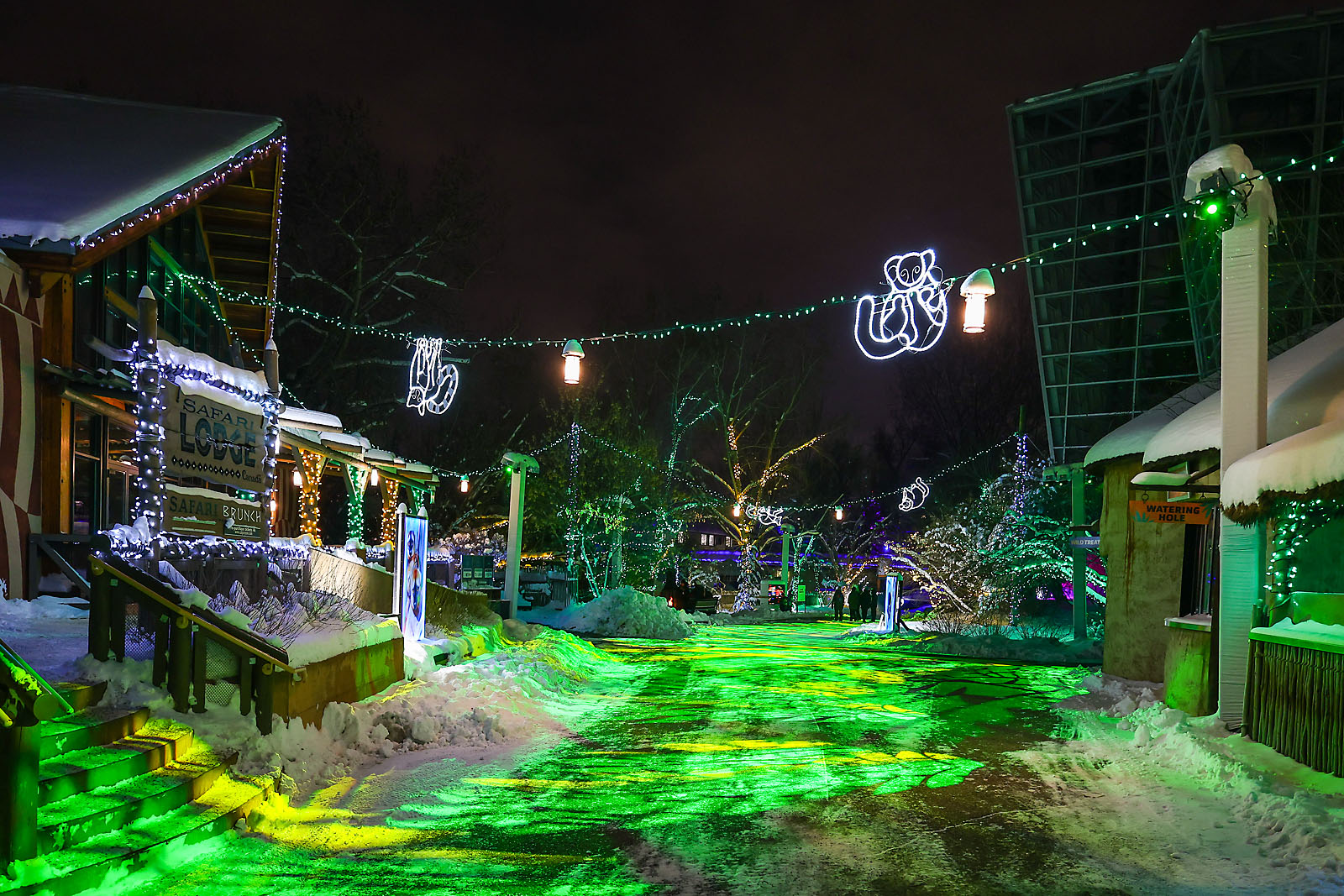 calgary zoolights event photographer sergei belski photo