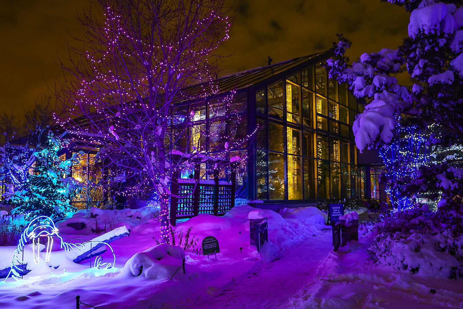 calgary zoolights event photographer sergei belski photo