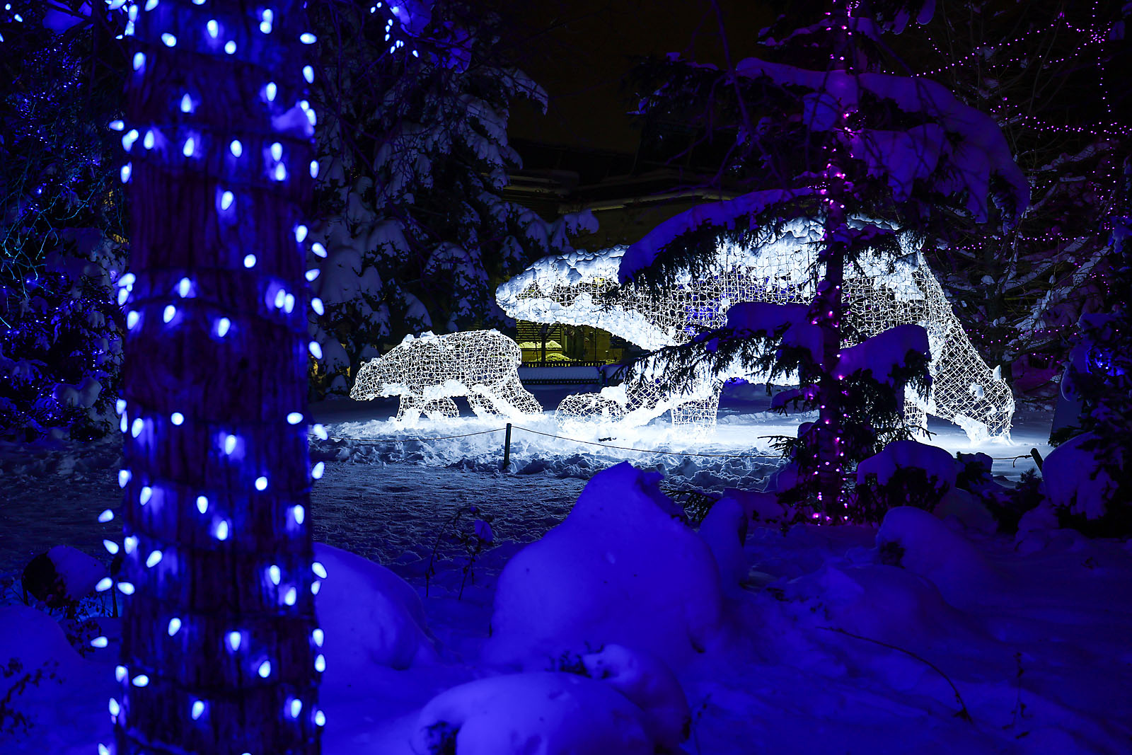 calgary zoolights event photographer sergei belski photo