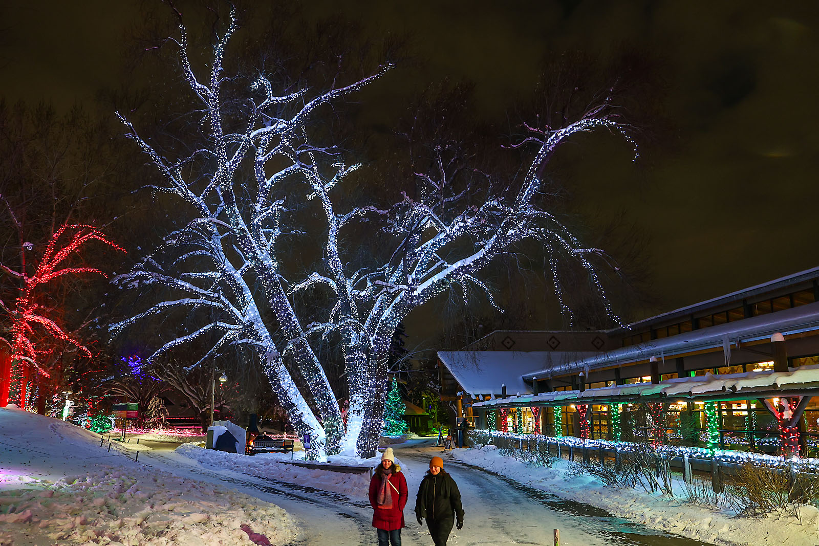 calgary zoolights event photographer sergei belski photo