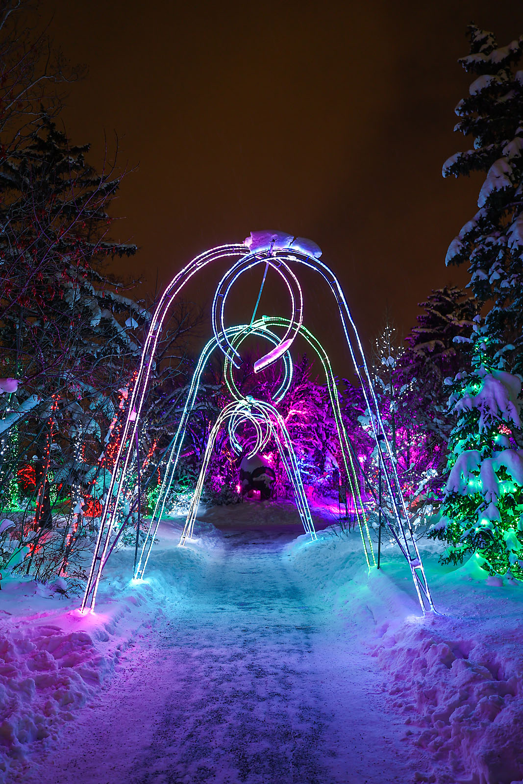 calgary zoolights event photographer sergei belski photo