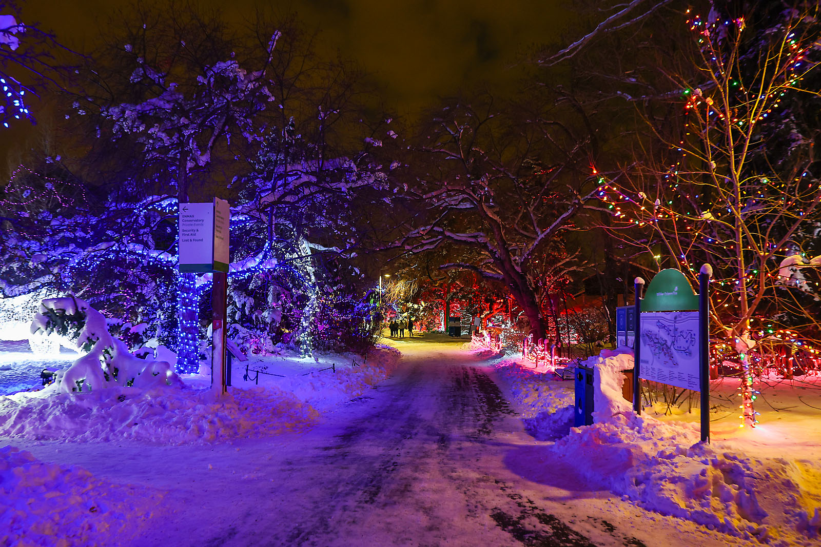 calgary zoolights event photographer sergei belski photo