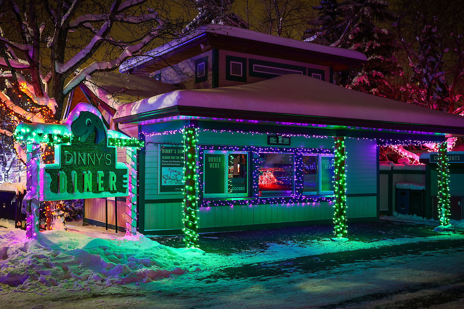 calgary zoolights event photographer sergei belski photo
