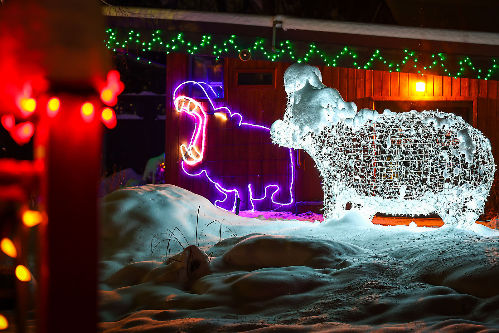 calgary zoolights event photographer sergei belski photo