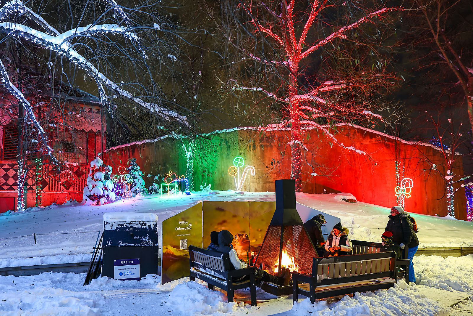 calgary zoolights event photographer sergei belski photo