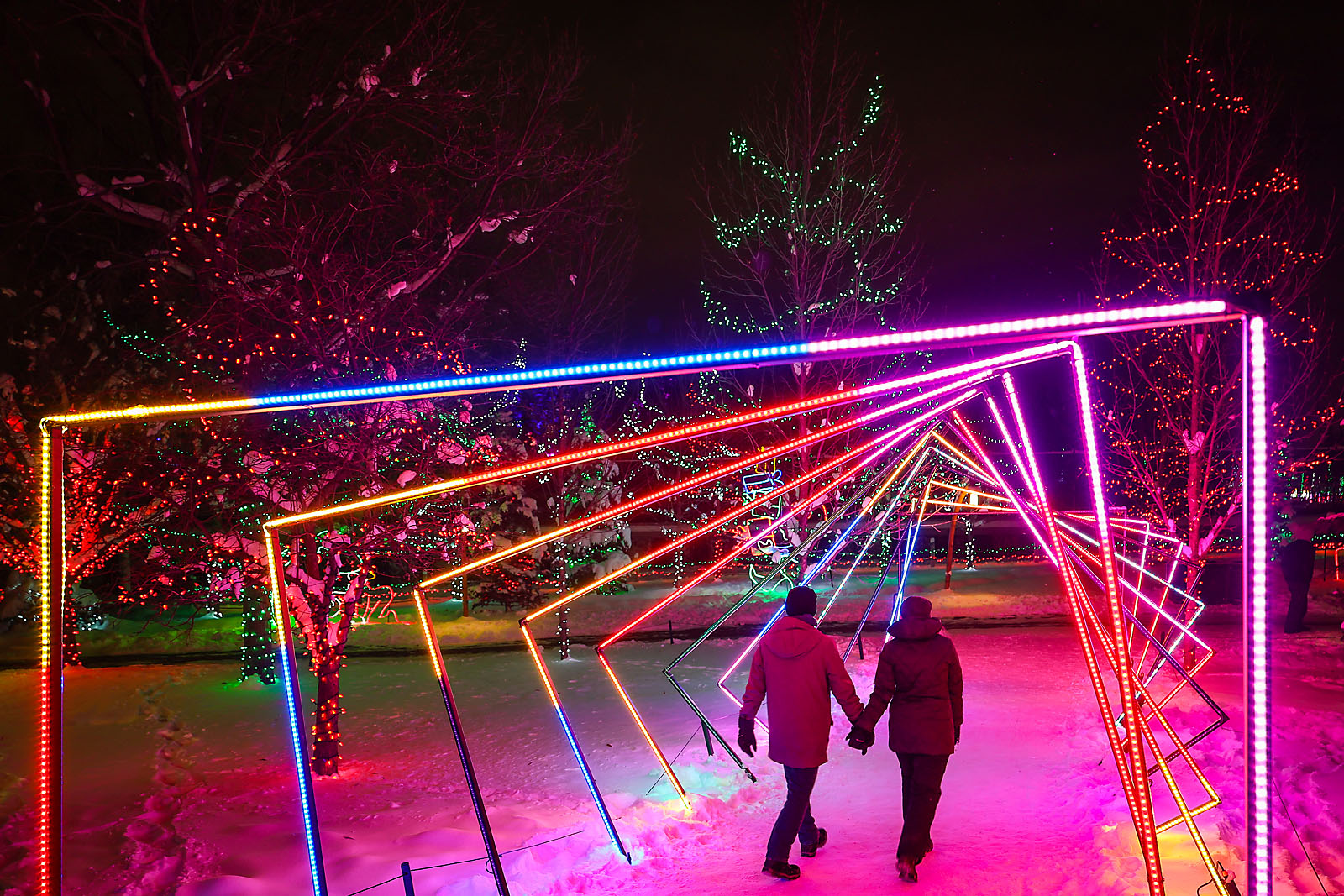 calgary zoolights event photographer sergei belski photo