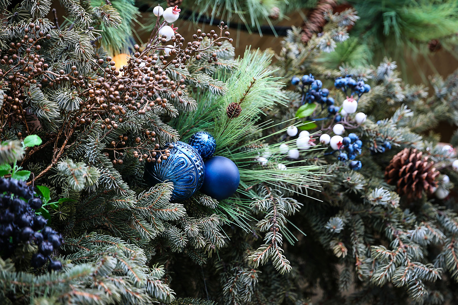 my Rivian adventures travel photographer sergei belski photo