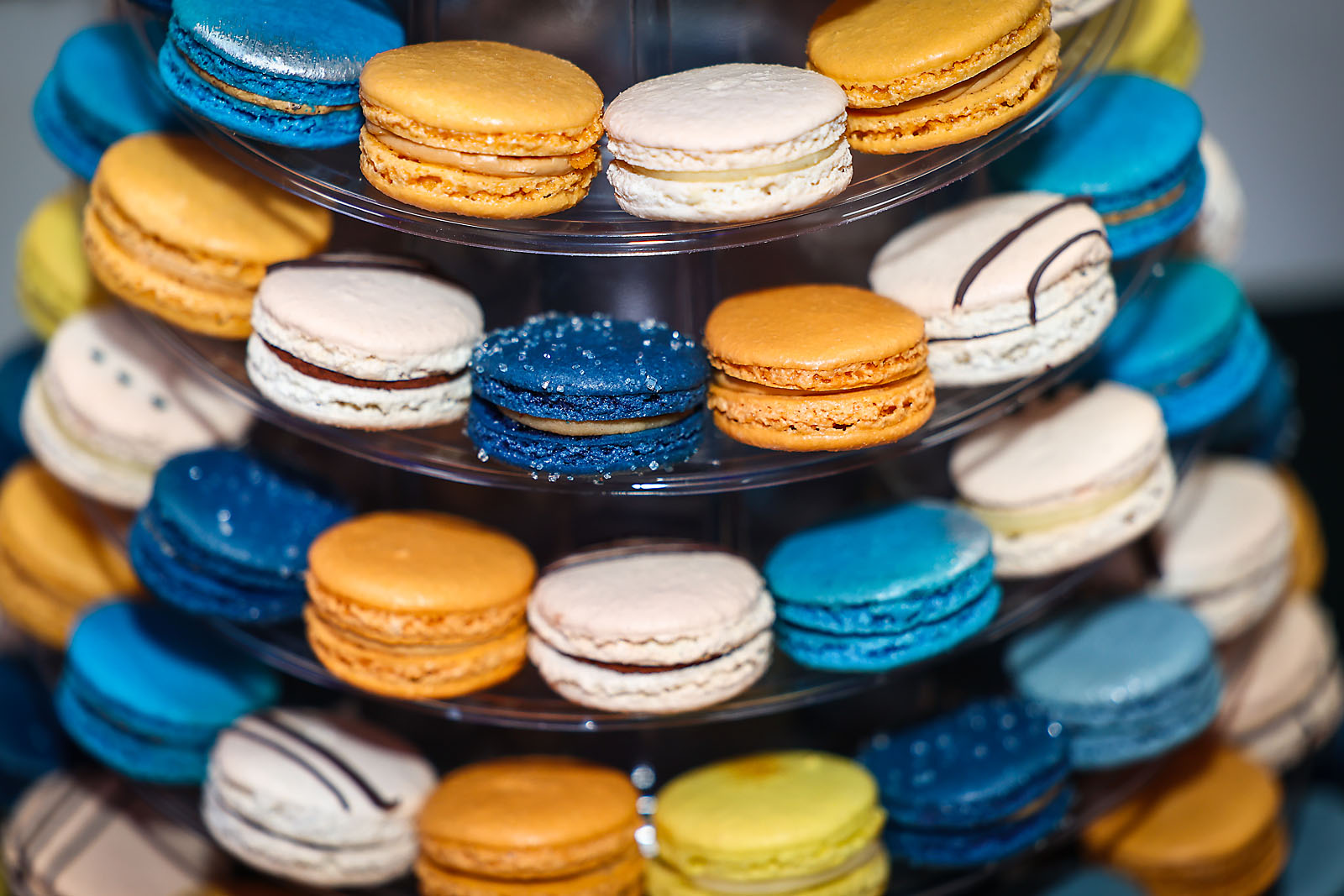 STMU calgary event photographer sergei belski photo