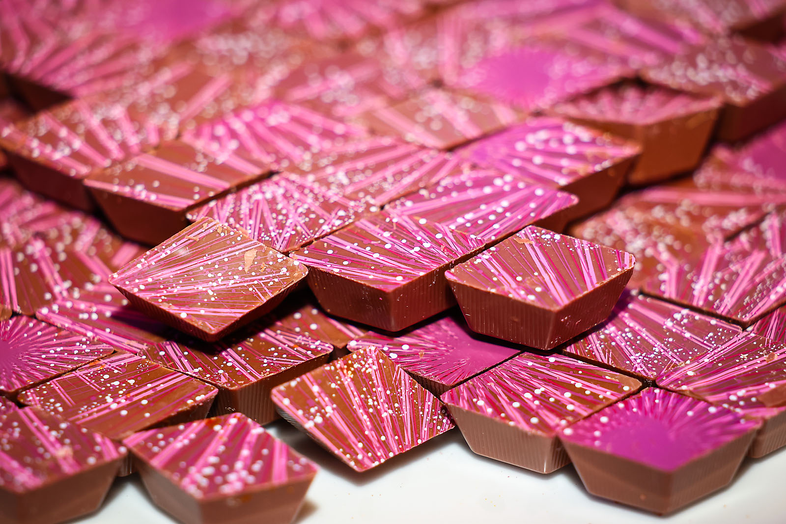 STMU calgary event photographer sergei belski photo