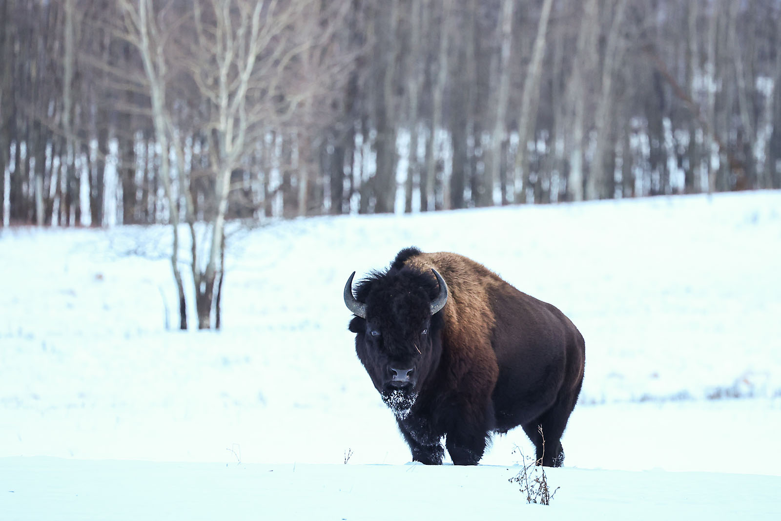 my Rivian adventures automotive photographer sergei belski photo