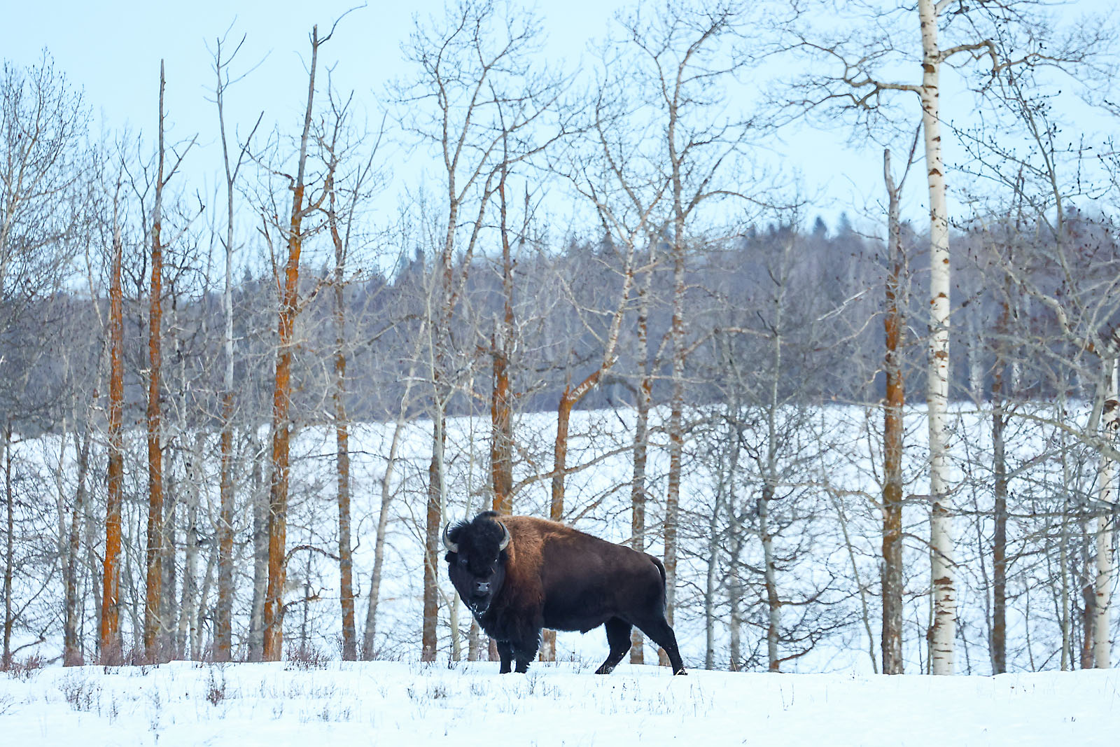my Rivian adventures automotive photographer sergei belski photo
