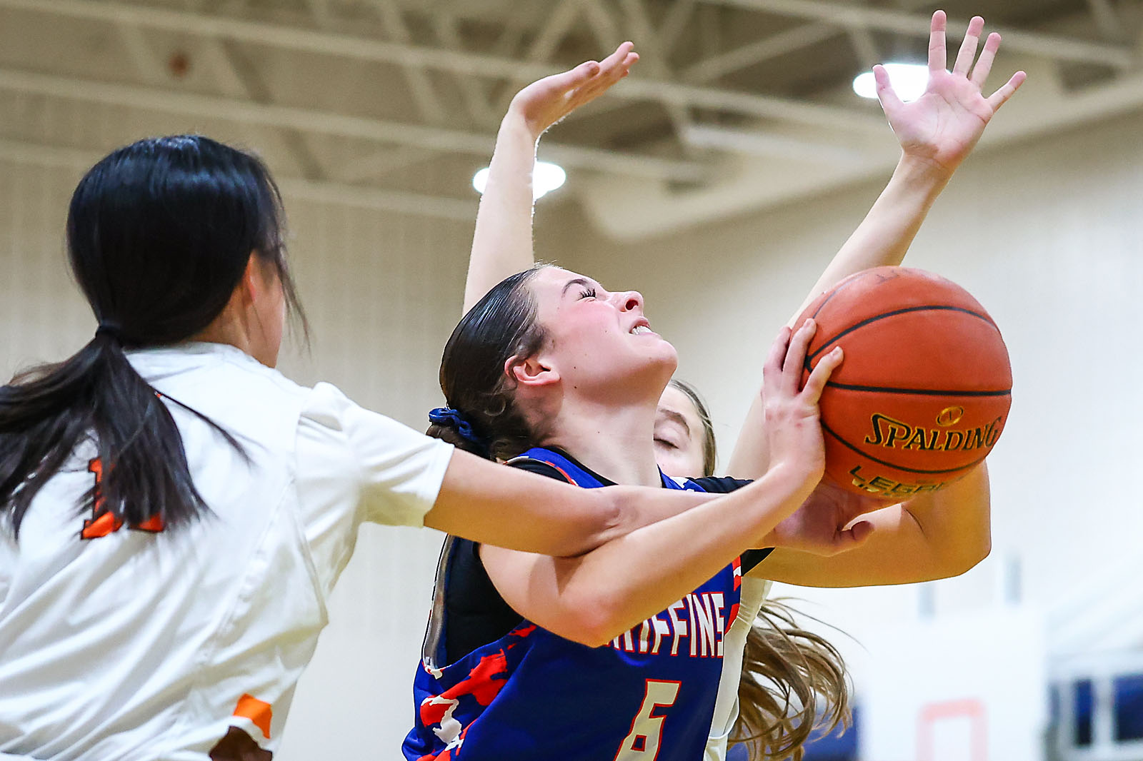 basketball calgary sports photographer sergei belski photo