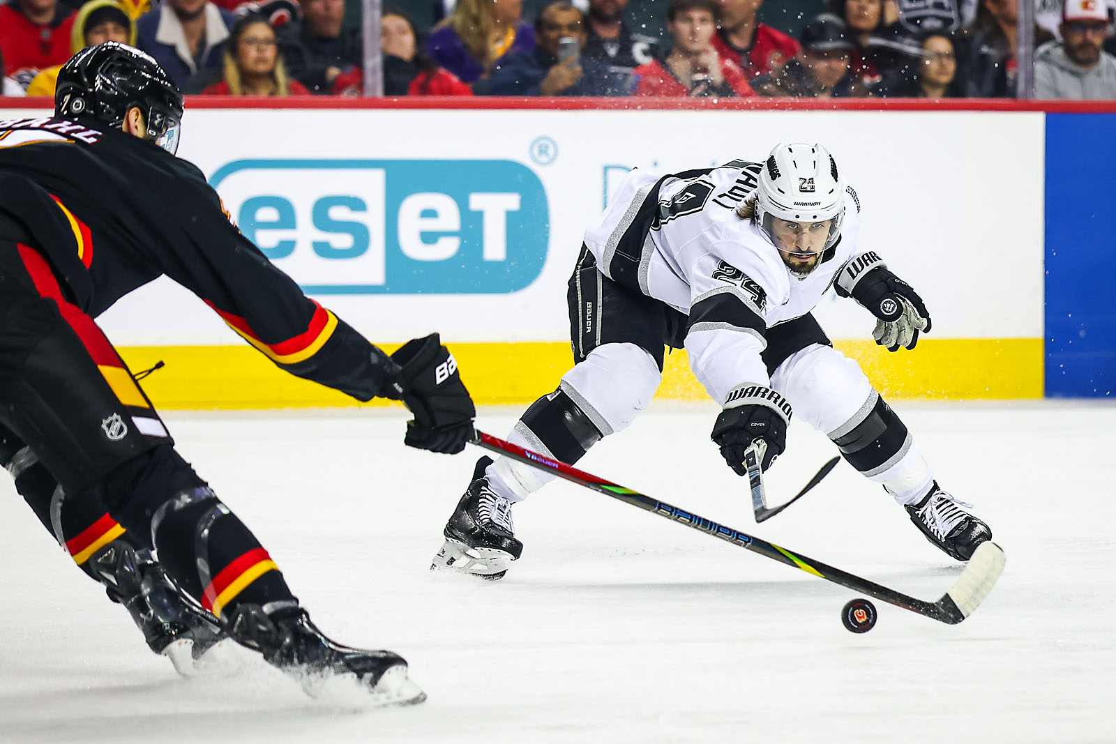 nhl hockey Calgary Flames sports photographer sergei belski photo