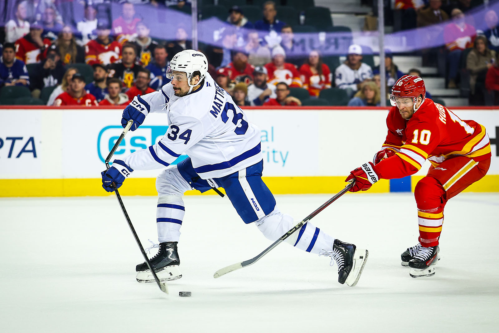 nhl hockey Calgary Flames sports photographer sergei belski photo