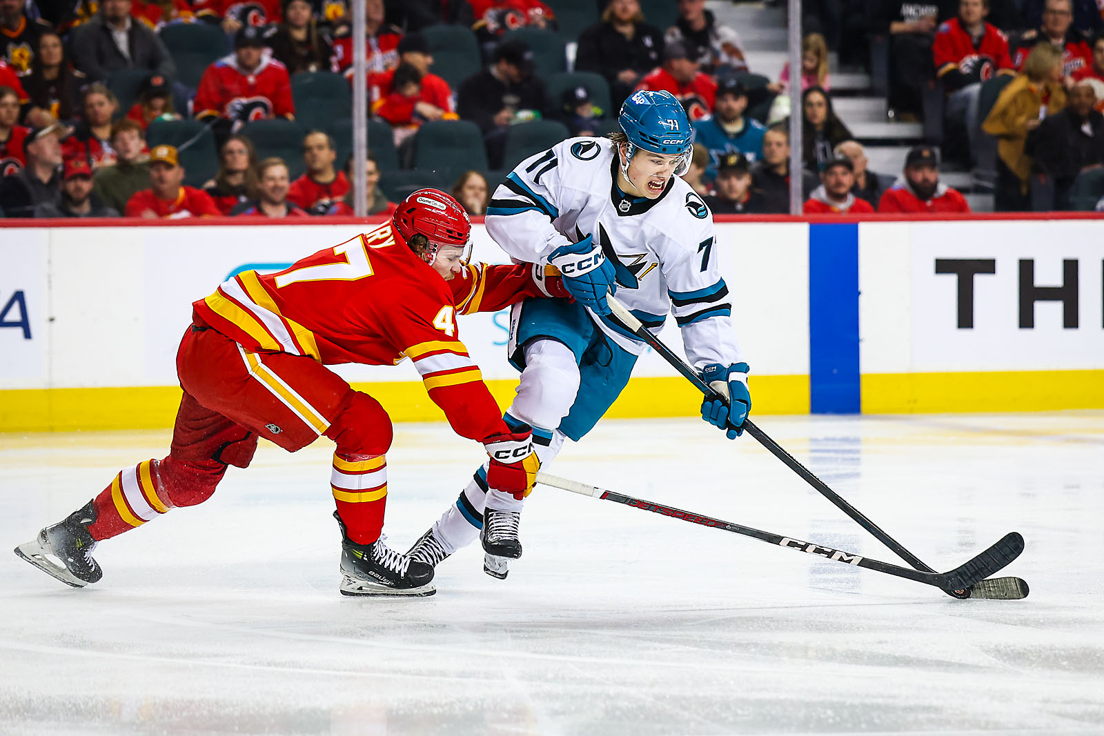 nhl hockey Calgary Flames sports photographer sergei belski photo