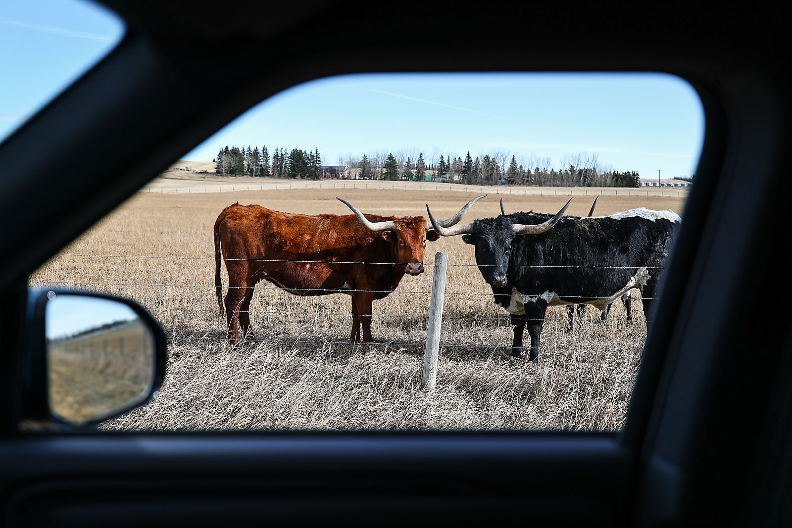 my Rivian adventures commercial photographer sergei belski photo