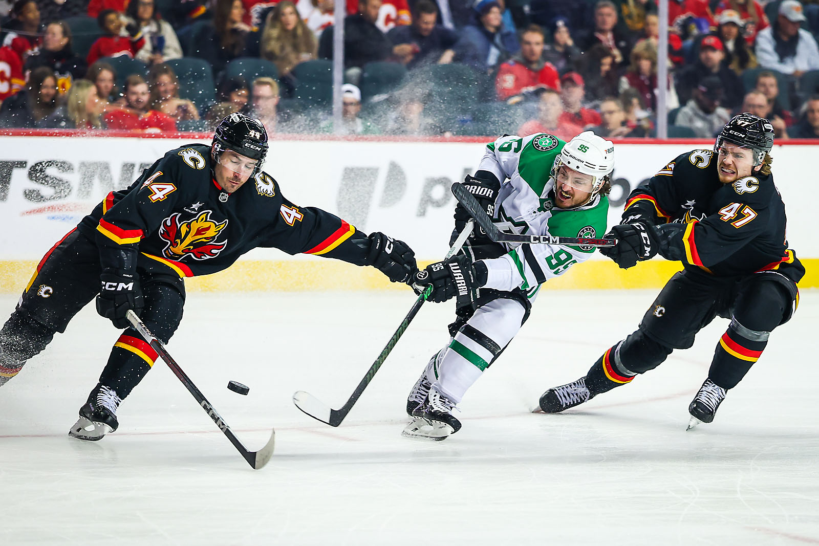 nhl hockey Calgary Flames sports photographer sergei belski photo