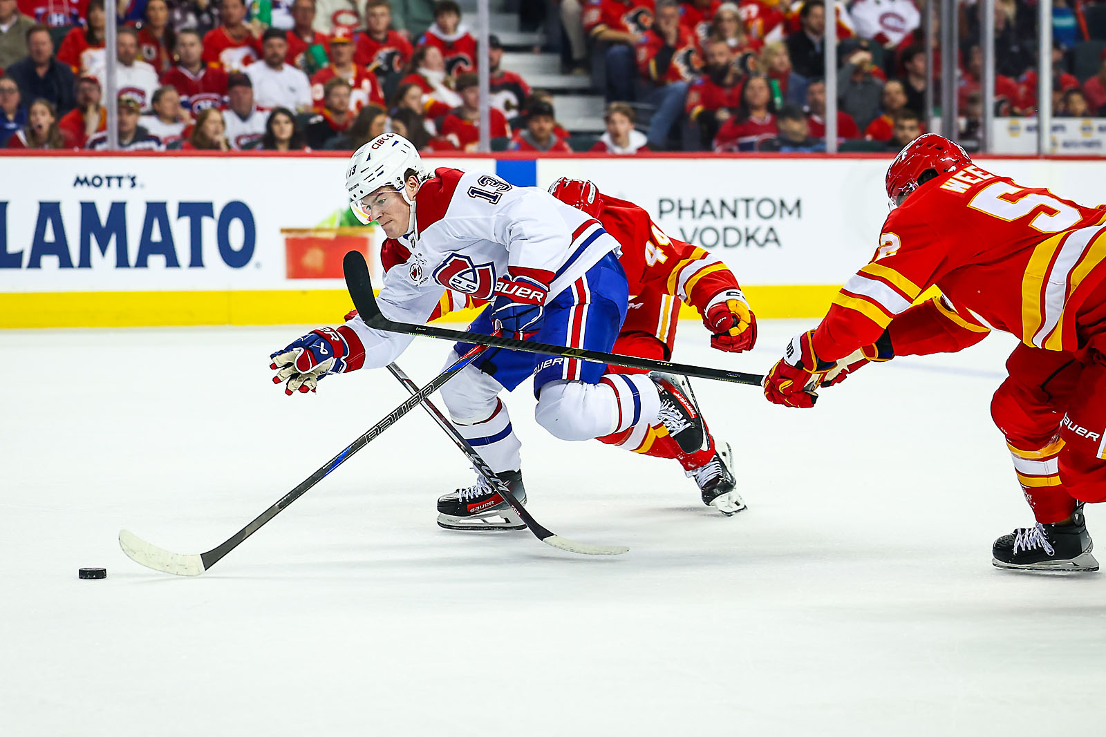 nhl hockey Calgary Flames sports photographer sergei belski photo