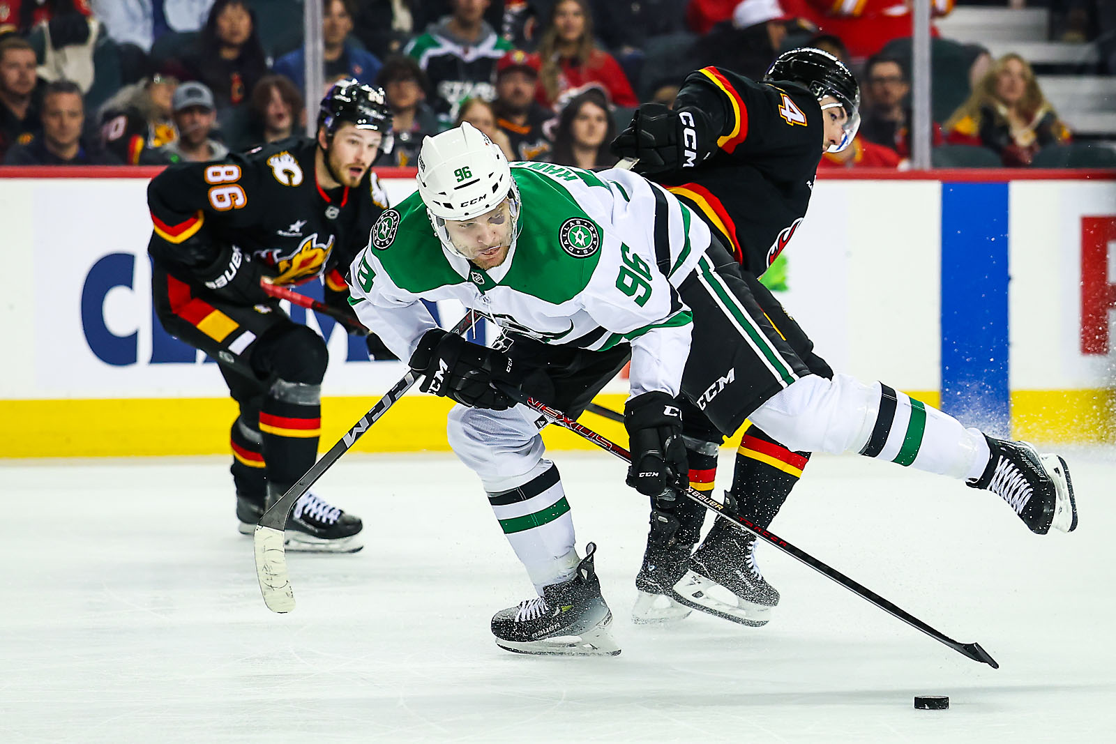 nhl hockey Calgary Flames sports photographer sergei belski photo