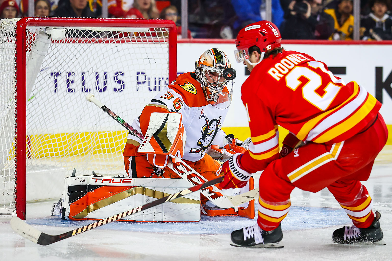 nhl hockey Calgary Flames sports photographer sergei belski photo