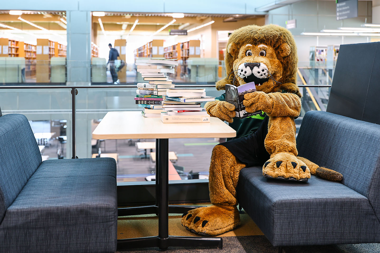 red deer polytechnic commercial photographer sergei belski photo