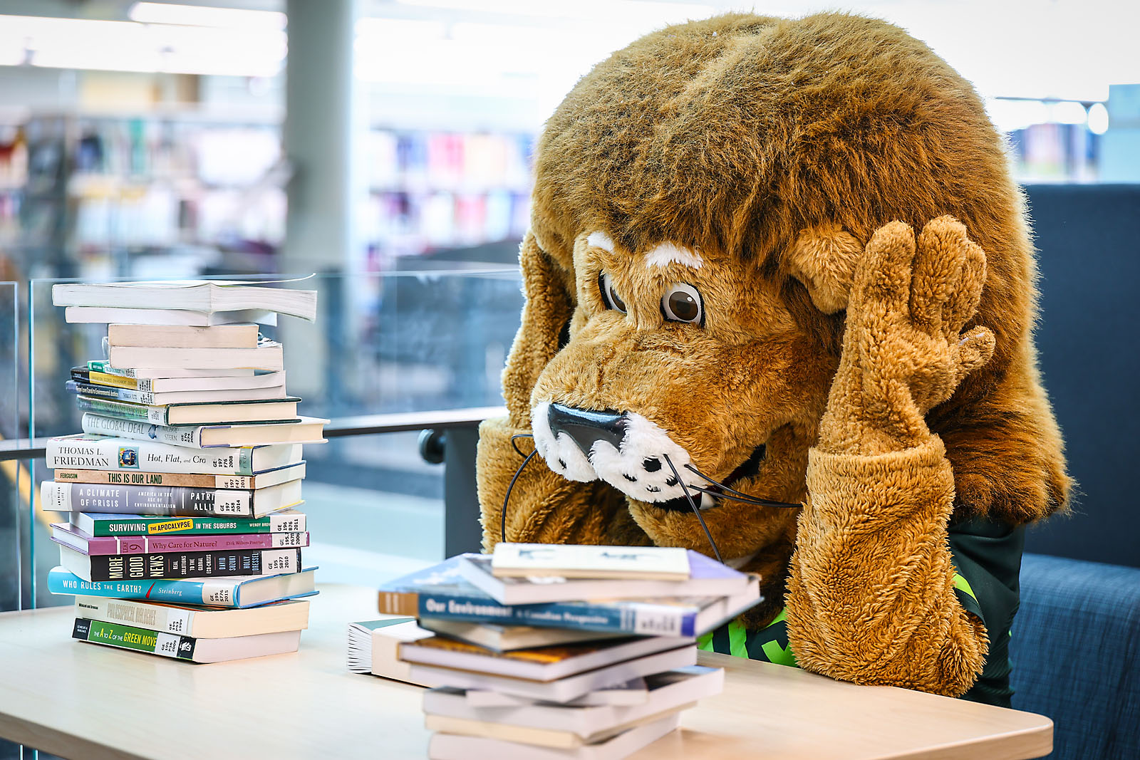 red deer polytechnic commercial photographer sergei belski photo