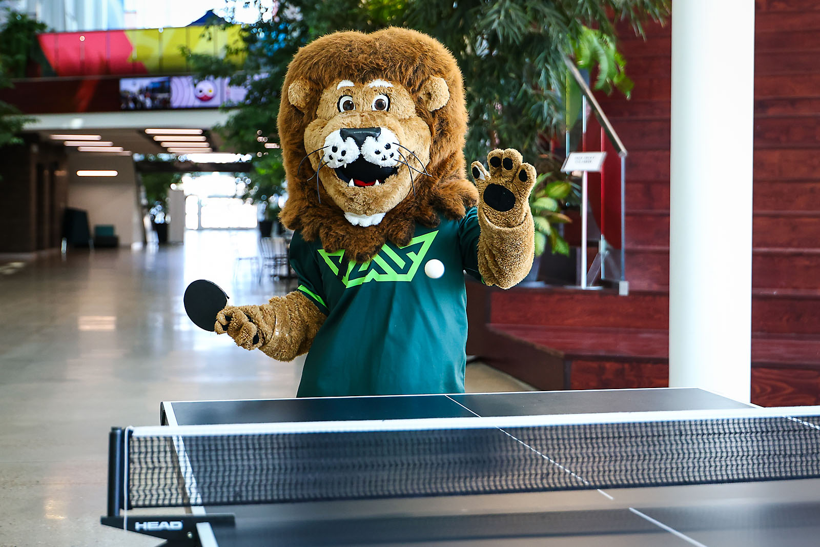 red deer polytechnic commercial photographer sergei belski photo