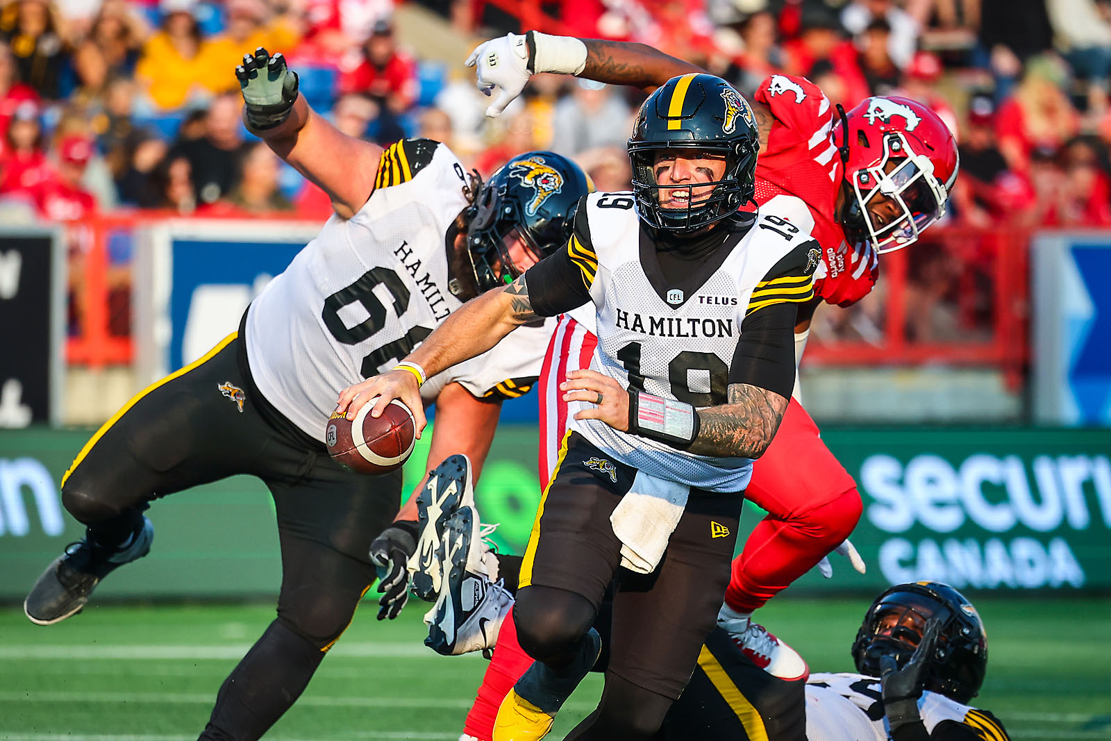 cfl football Calgary Stampeders sports photographer sergei belski photo