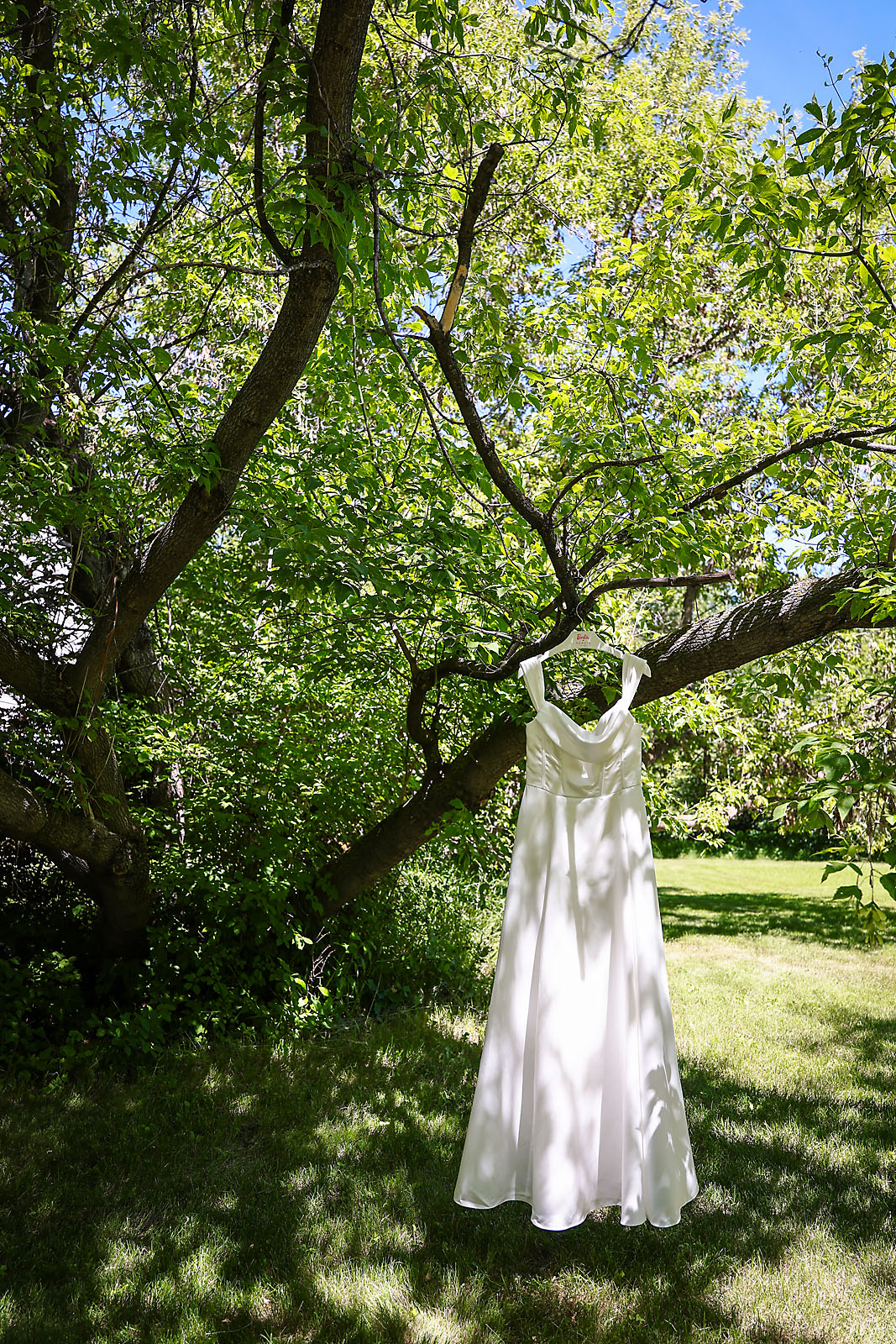 maple dell acres calgary wedding photographer sergei belski photo