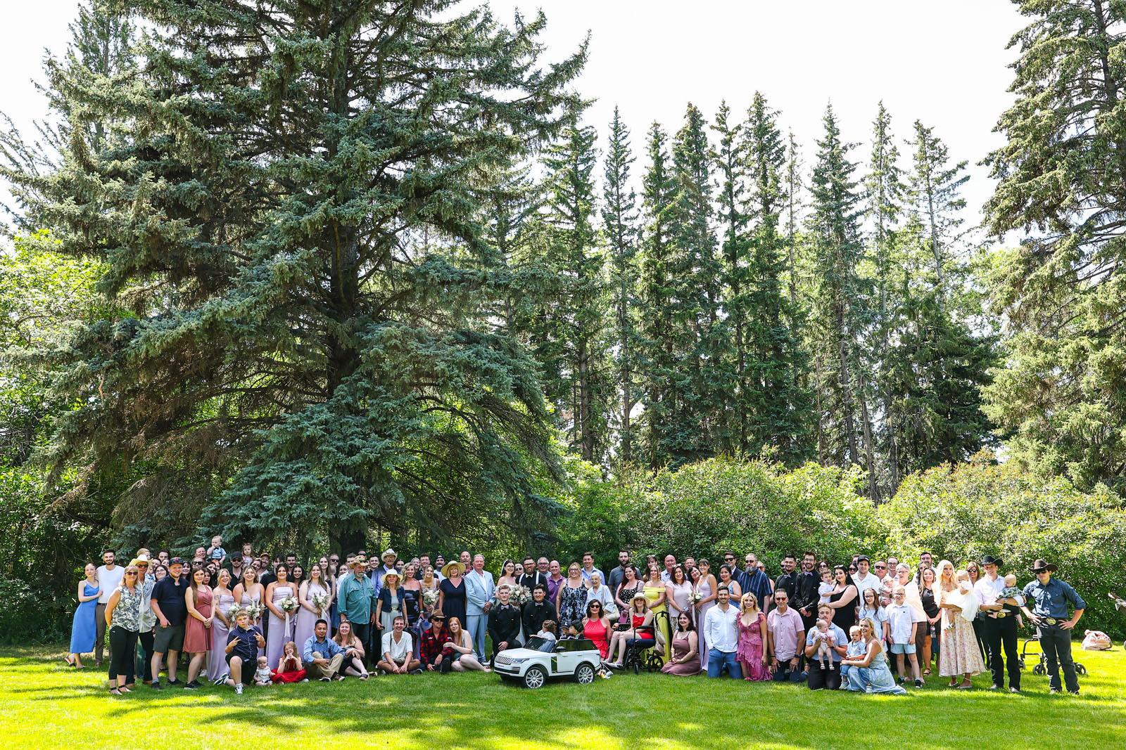 maple dell acres calgary wedding photographer sergei belski photo