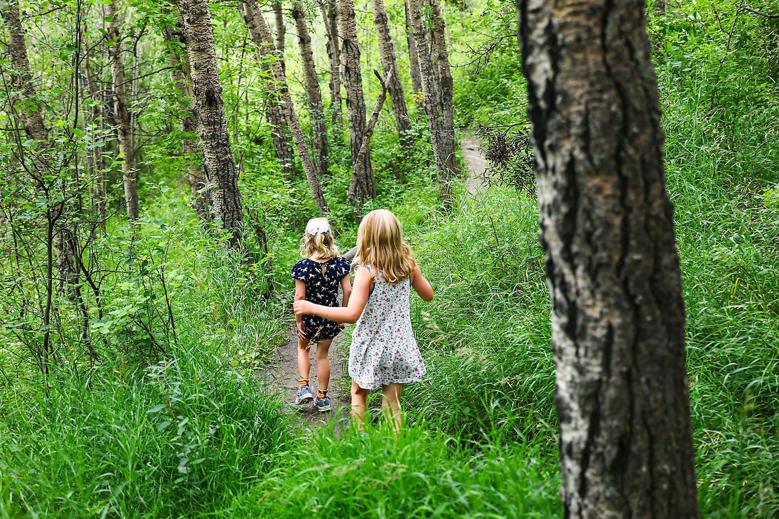 airdrie family photographer sergei belski photo