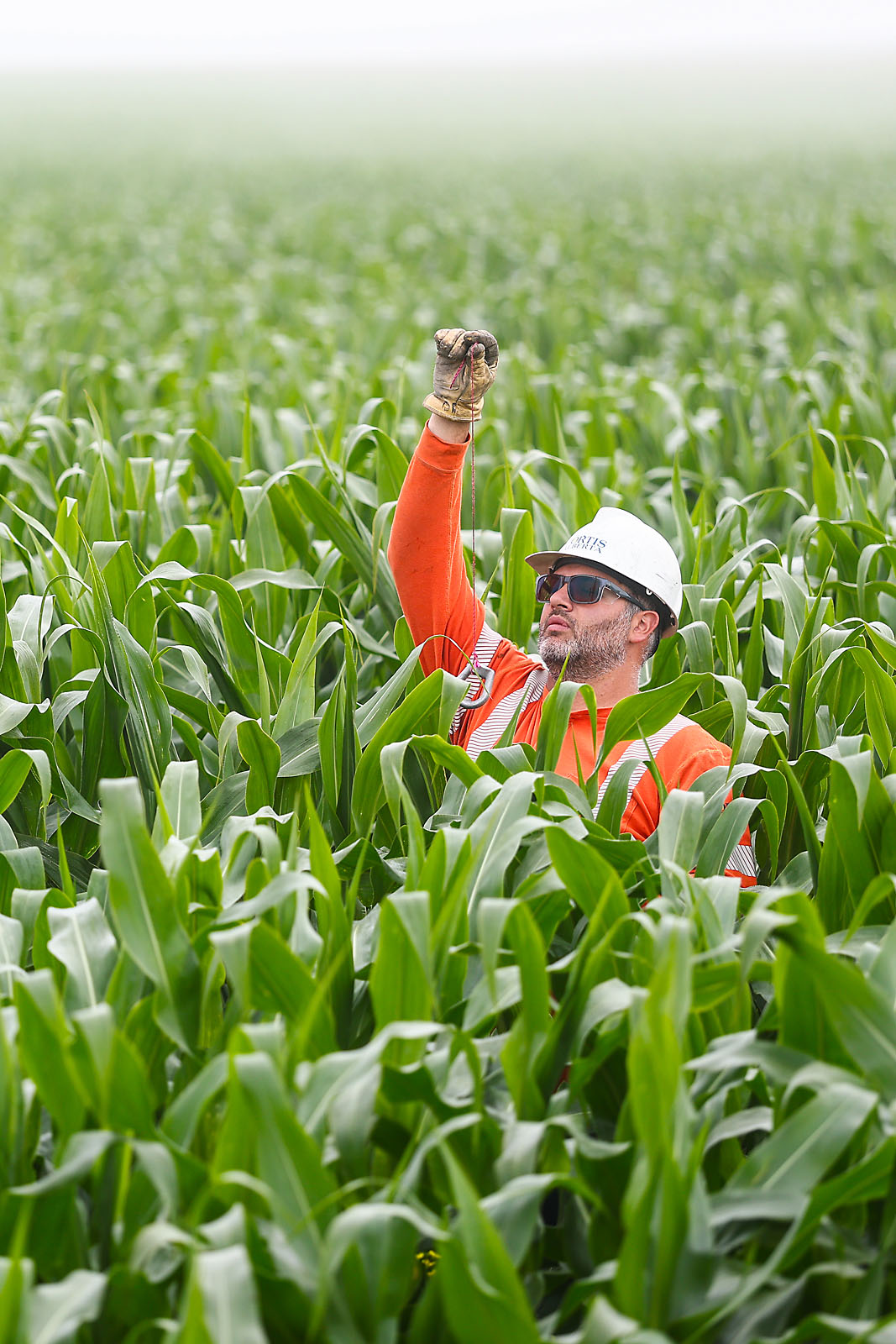 fortis Alberta commercial photographer sergei belski photo