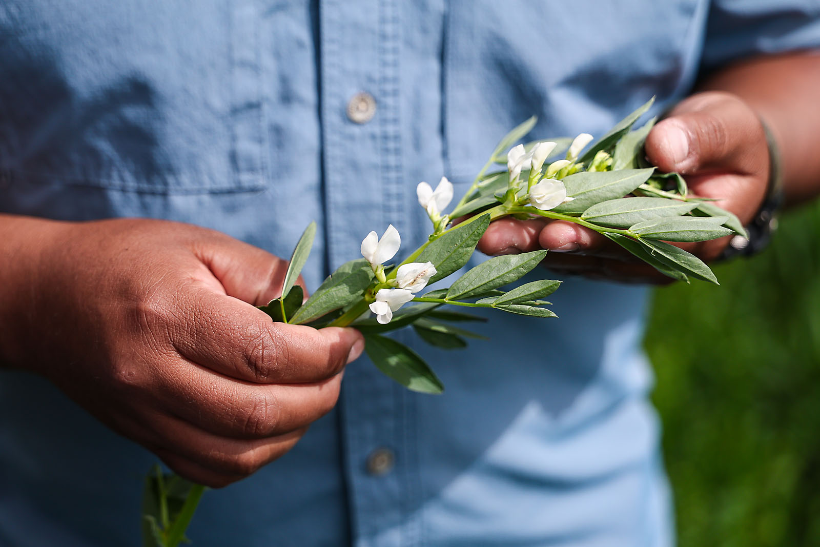 olds college commercial calgary photographer sergei belski photo