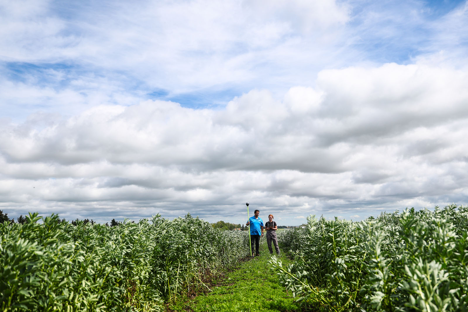 olds college commercial calgary photographer sergei belski photo