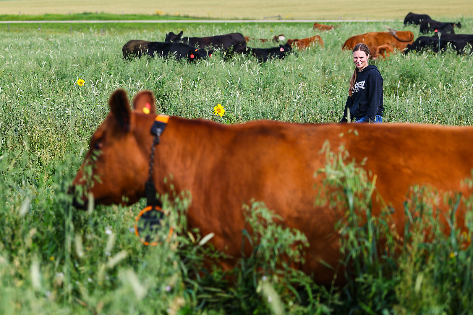 olds college commercial calgary photographer sergei belski photo