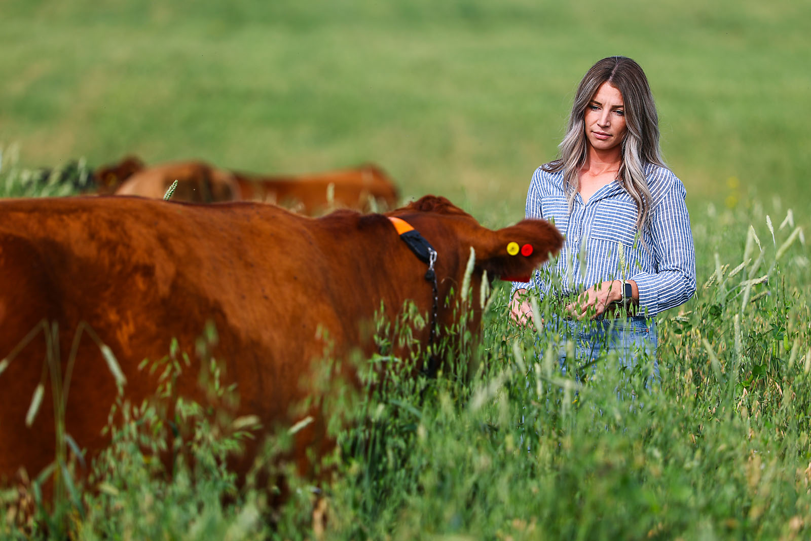 olds college commercial calgary photographer sergei belski photo