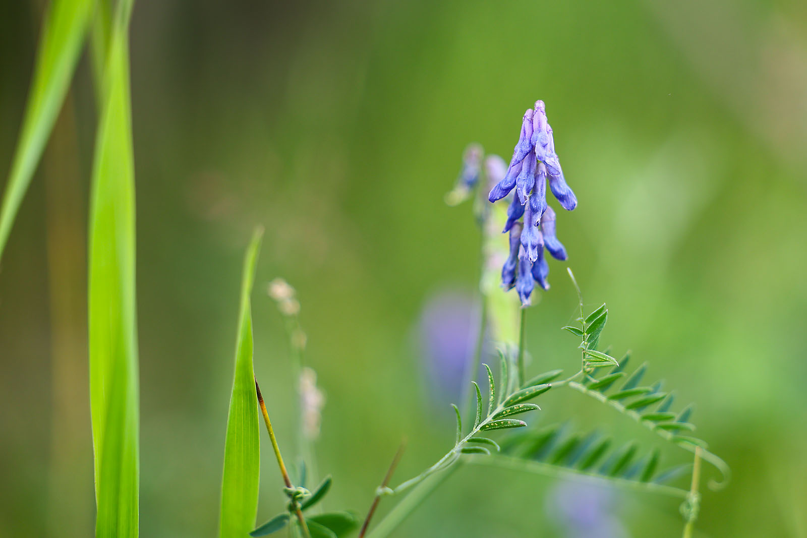 olds college commercial calgary photographer sergei belski photo
