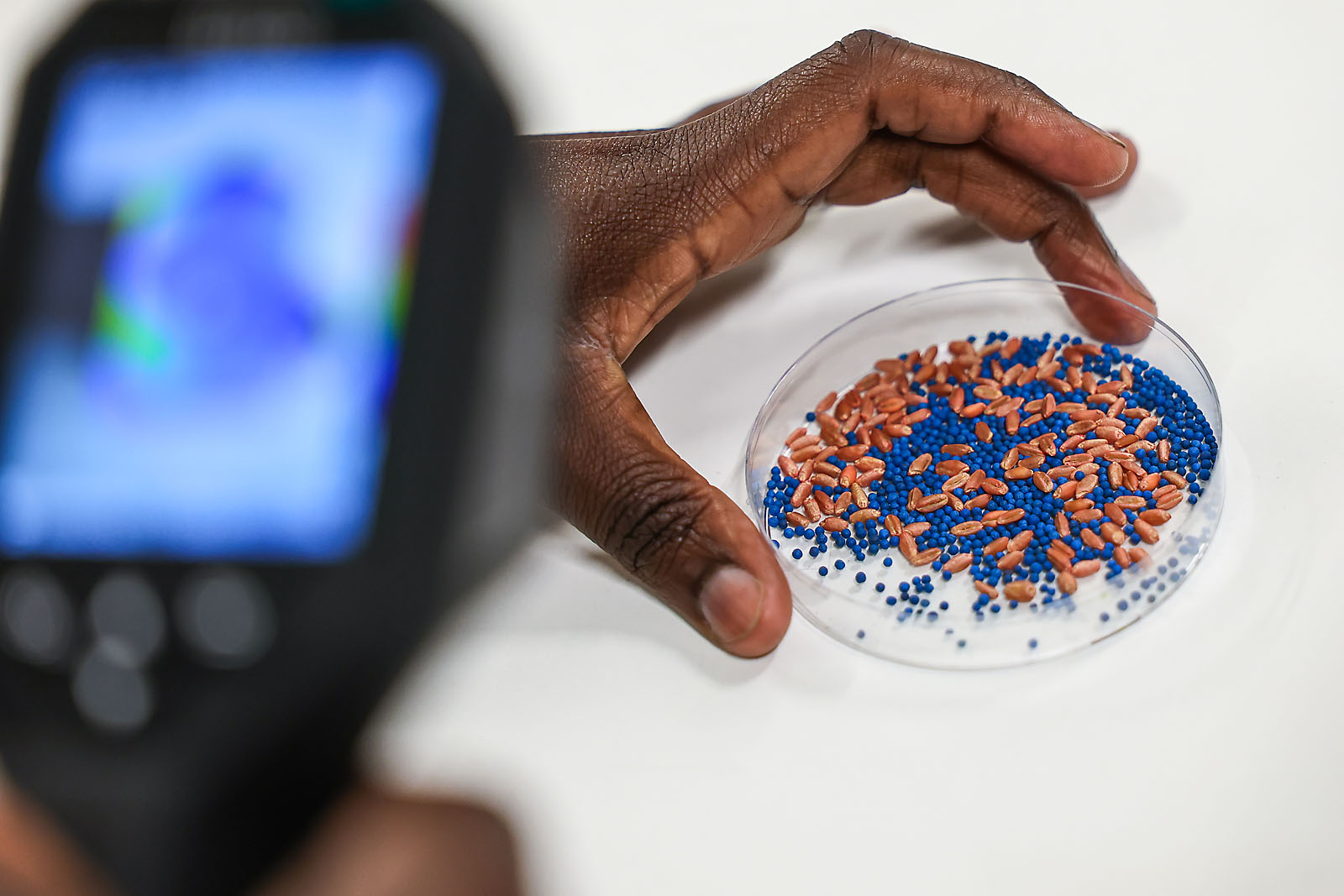 olds college commercial calgary photographer sergei belski photo