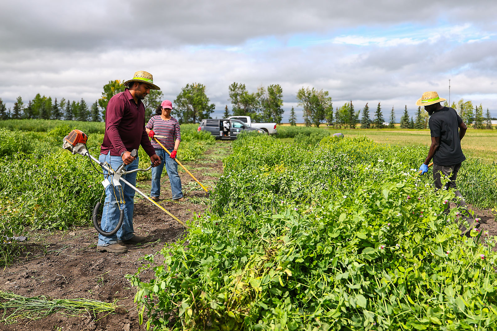 olds college commercial calgary photographer sergei belski photo