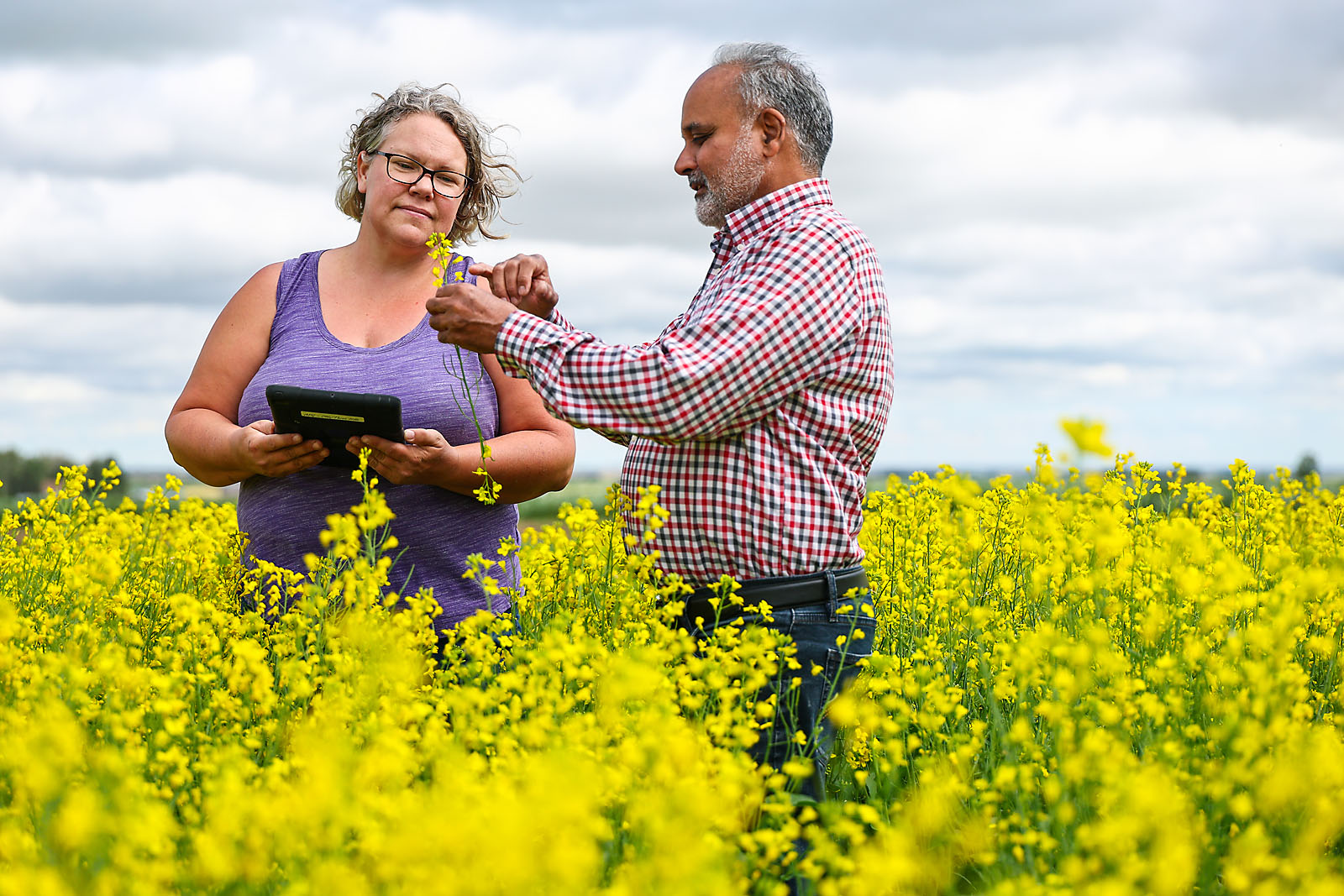 olds college commercial calgary photographer sergei belski photo