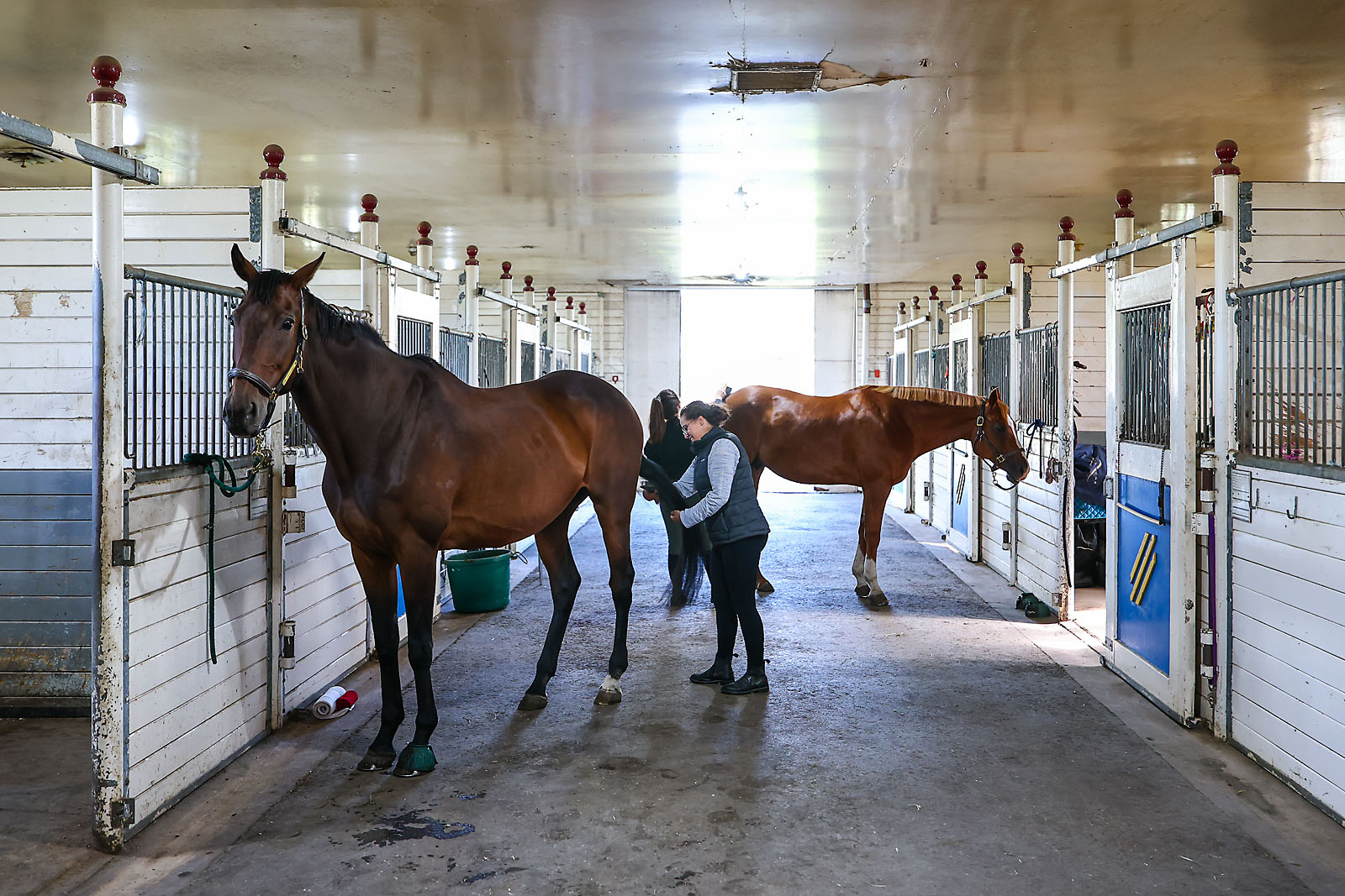 airdrie editorial photographer sergei belski photo