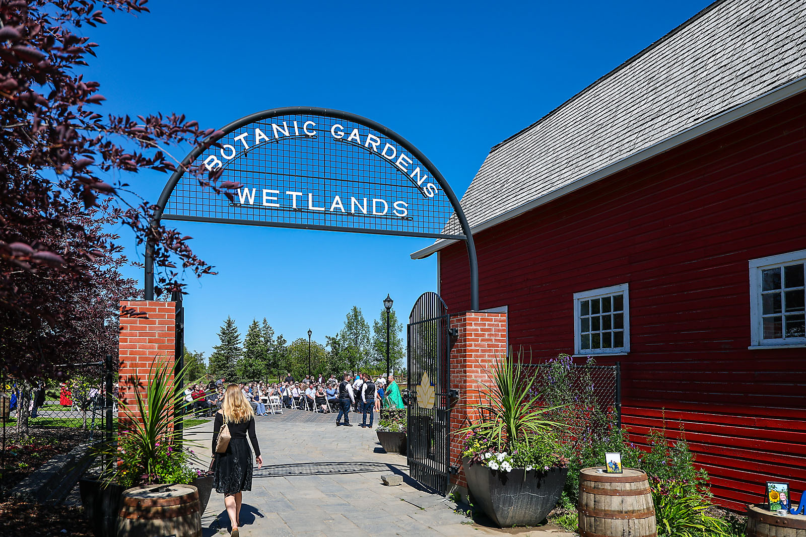 olds wedding photographer sergei belski photo