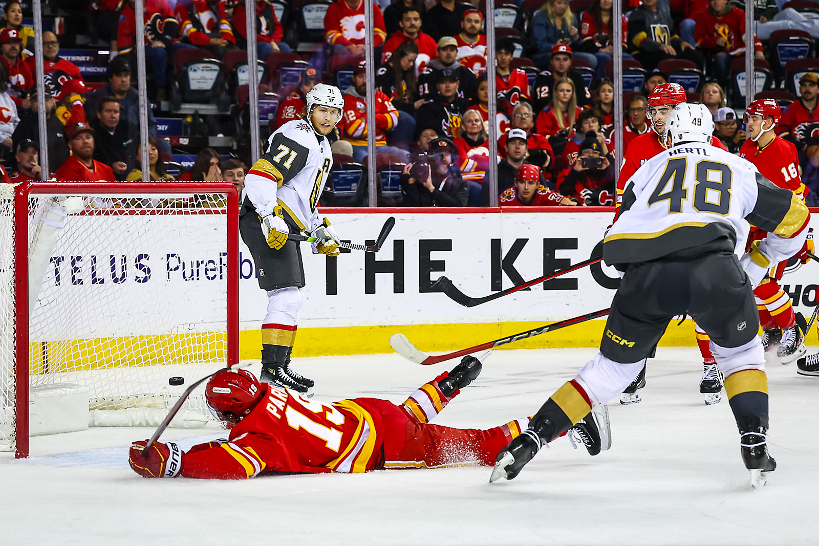 nhl hockey Calgary Flames sports photographer sergei belski photo