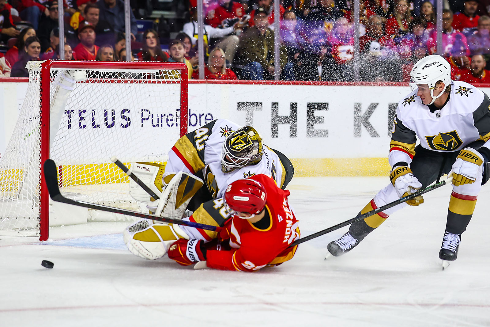 nhl hockey Calgary Flames sports photographer sergei belski photo