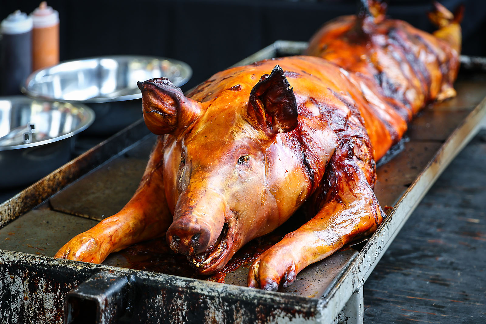 fortis alberta event photographer sergei belski photo