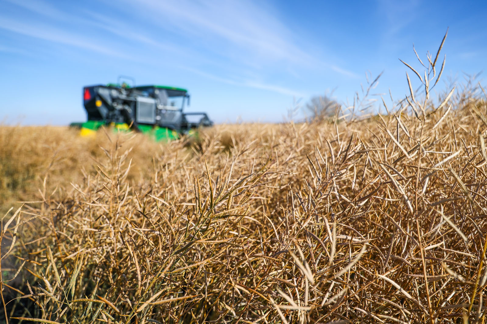 olds college commercial calgary photographer sergei belski photo