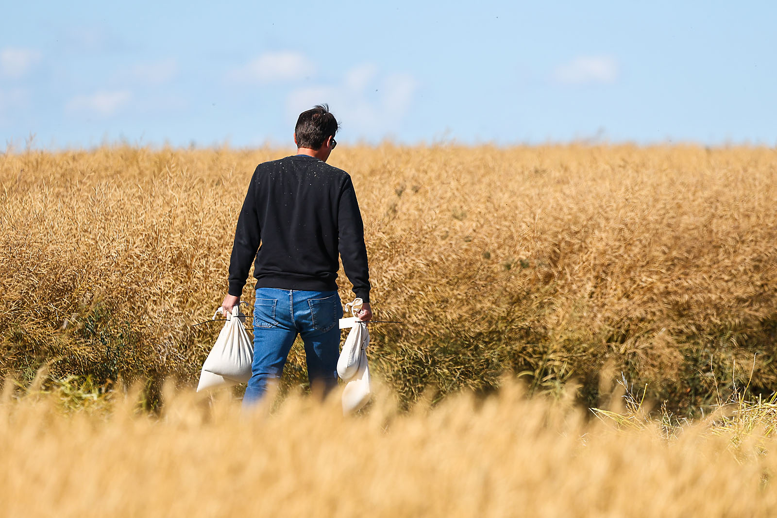 olds college commercial calgary photographer sergei belski photo